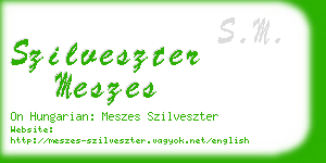 szilveszter meszes business card